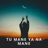 About Tu Mane Ya Na Mane Song